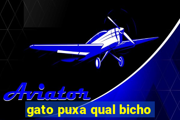 gato puxa qual bicho